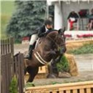 Meet your Posher, Carolina